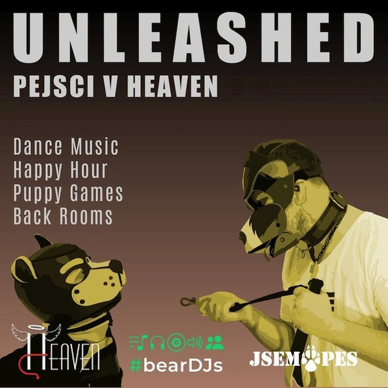 UNLEASHED Party: Pups in Heaven