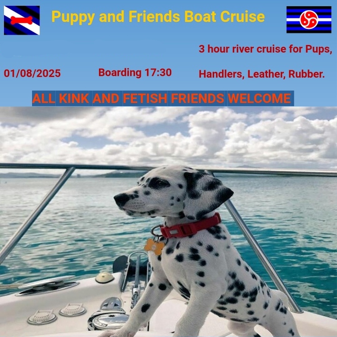 Puppy and friends boat cruise